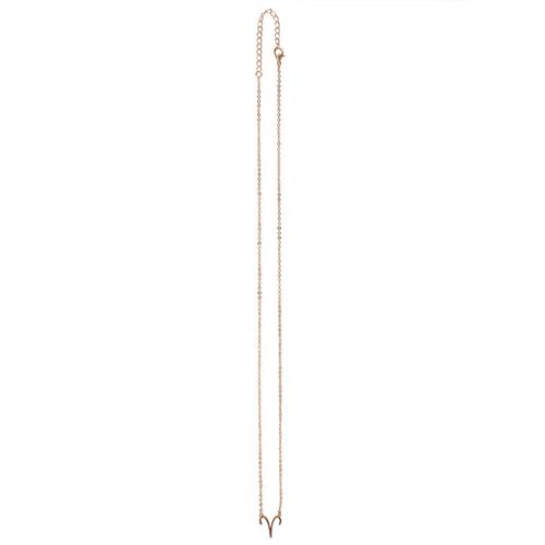 Aries Zodiac Necklace Card